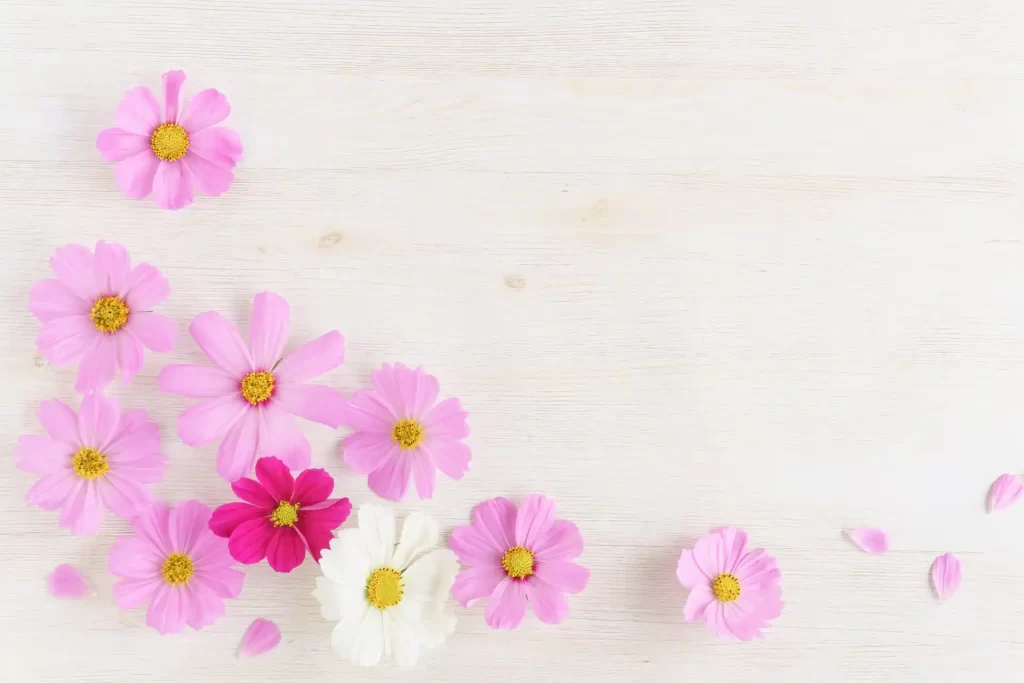 お知らせページのヒーロー画像