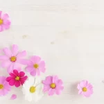 お知らせページのヒーロー画像